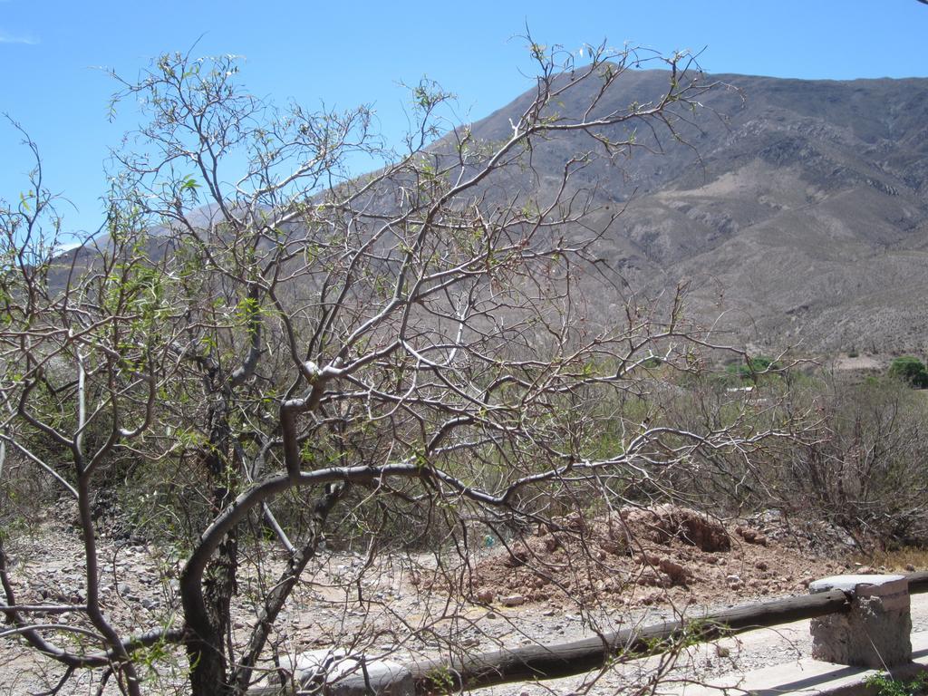 Posada Campo Morado Huacalera Esterno foto