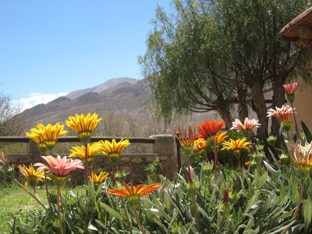 Posada Campo Morado Huacalera Esterno foto