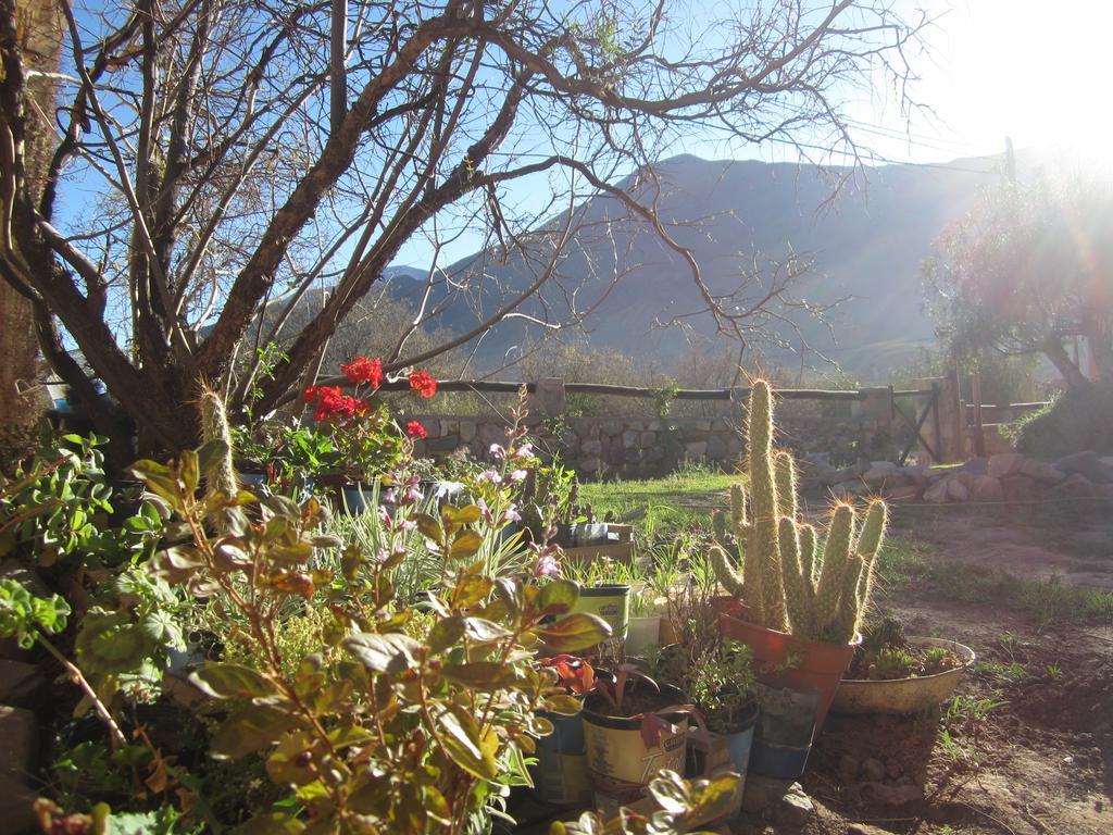 Posada Campo Morado Huacalera Esterno foto